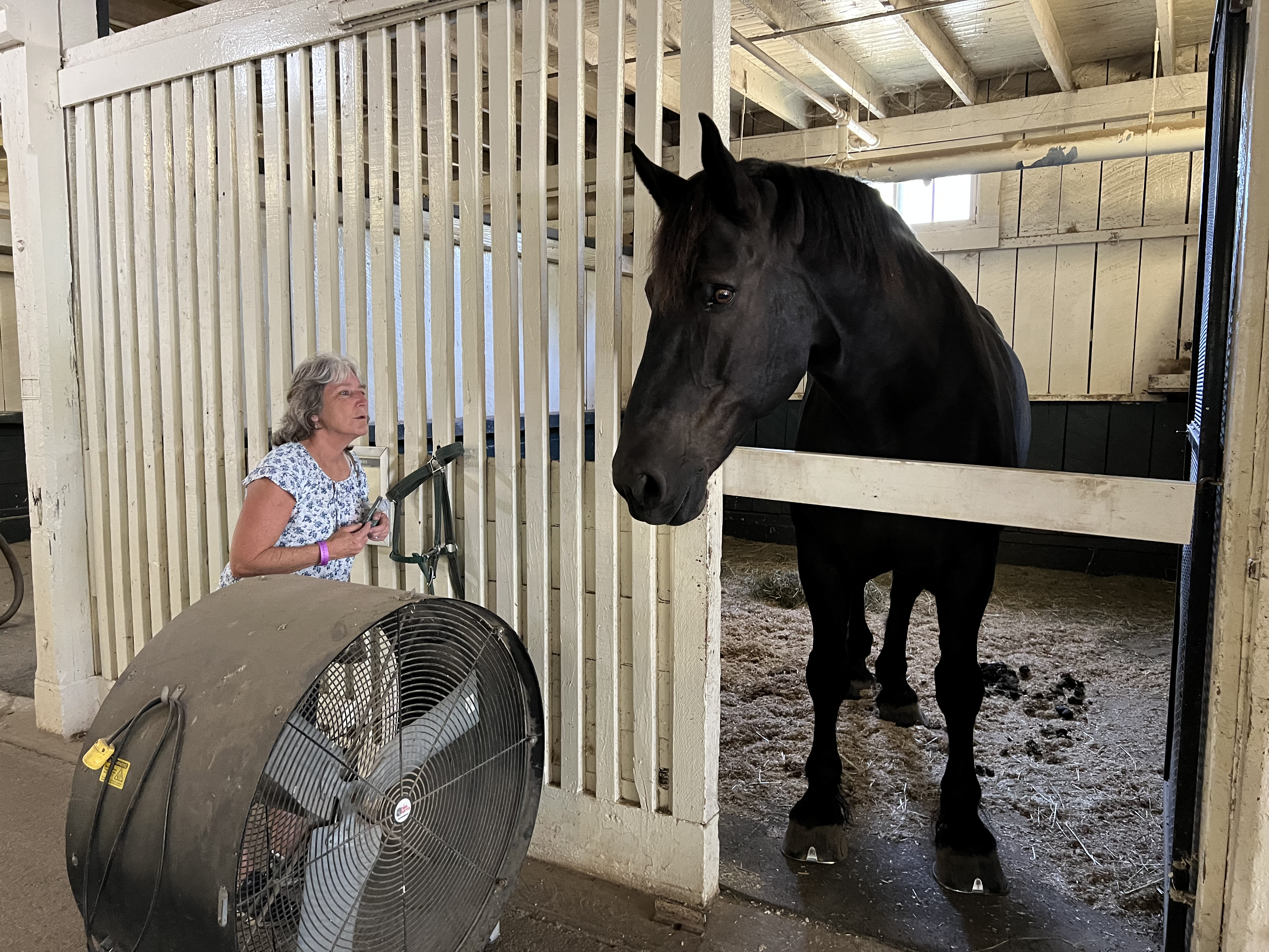 ./2023/12 - Kentucky/IMG_0191.jpg